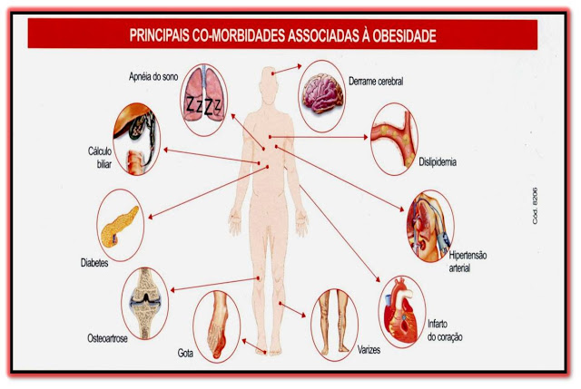 Clique aqui para acessar...