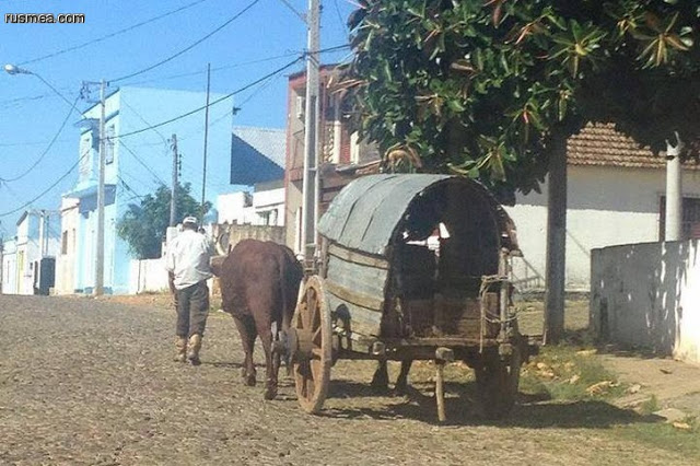 Clique aqui para acessar...